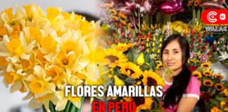 ¿Qué día se regalan flores amarillas en Perú?
