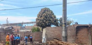 Incendio en Sullana: Tres familias pierden sus viviendas en el distrito Bellavista