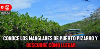 cómo llegar a los manglares de Puerto Pizarro