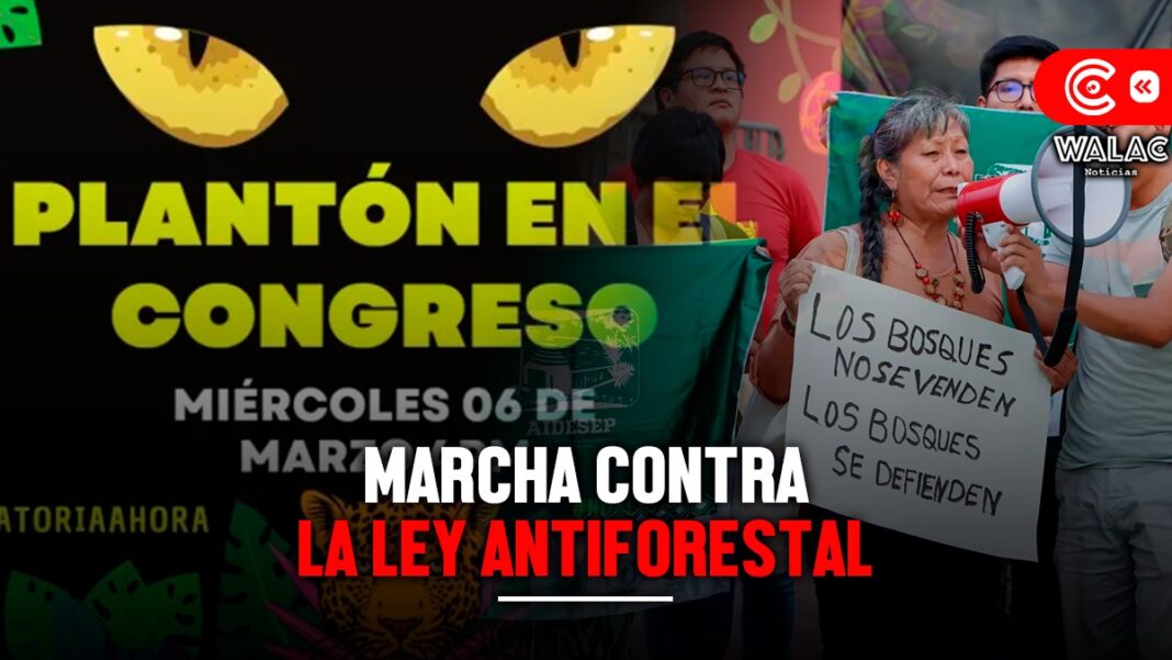 Marcha contra Ley Antiforestal