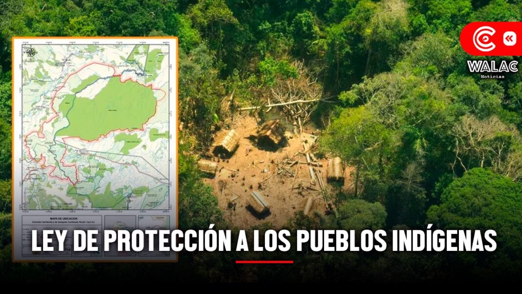 Presentan proyecto de ley para proteger a pueblos indígenas en aislamiento de grupos criminales en la Amazonía