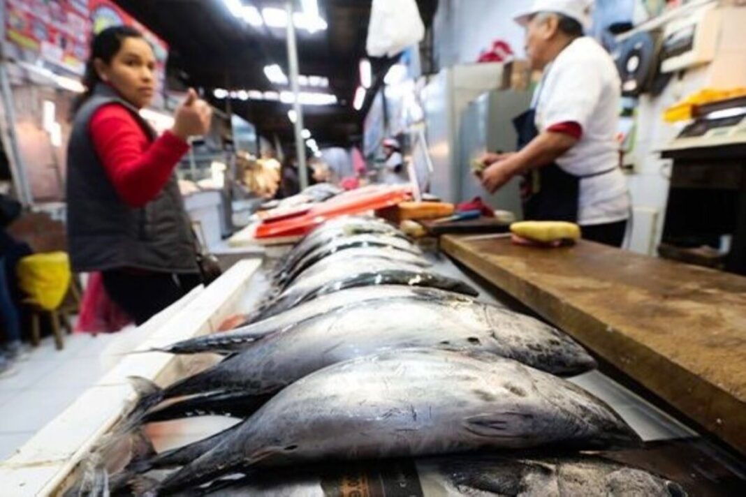 Semana Santa: Consumo de pescados y mariscos superará las 8400 toneladas