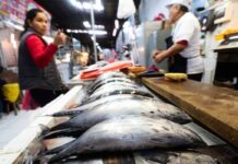 Semana Santa: Consumo de pescados y mariscos superará las 8400 toneladas