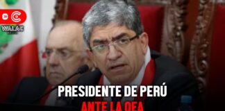 ¿Quién es el nuevo representante permanente de Perú ante la OEA