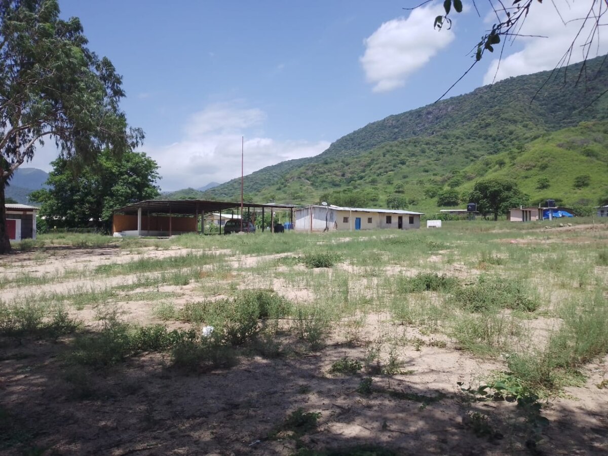 Las Lomas: Más de 210 estudiantes llevan esperando 12 años la construcción de un nuevo colegio