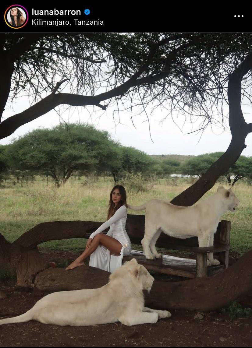 Luana Barrón: influencer es criticada por posar con leones aparentemente sedados