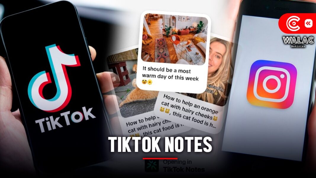 ¿Qué es TikTok Notes? La aplicación que busca competir con Instagram