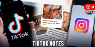 ¿Qué es TikTok Notes? La aplicación que busca competir con Instagram