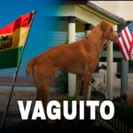 ¡Superó fronteras! Vaguito se estrenará en Bolivia y Estados Unidos