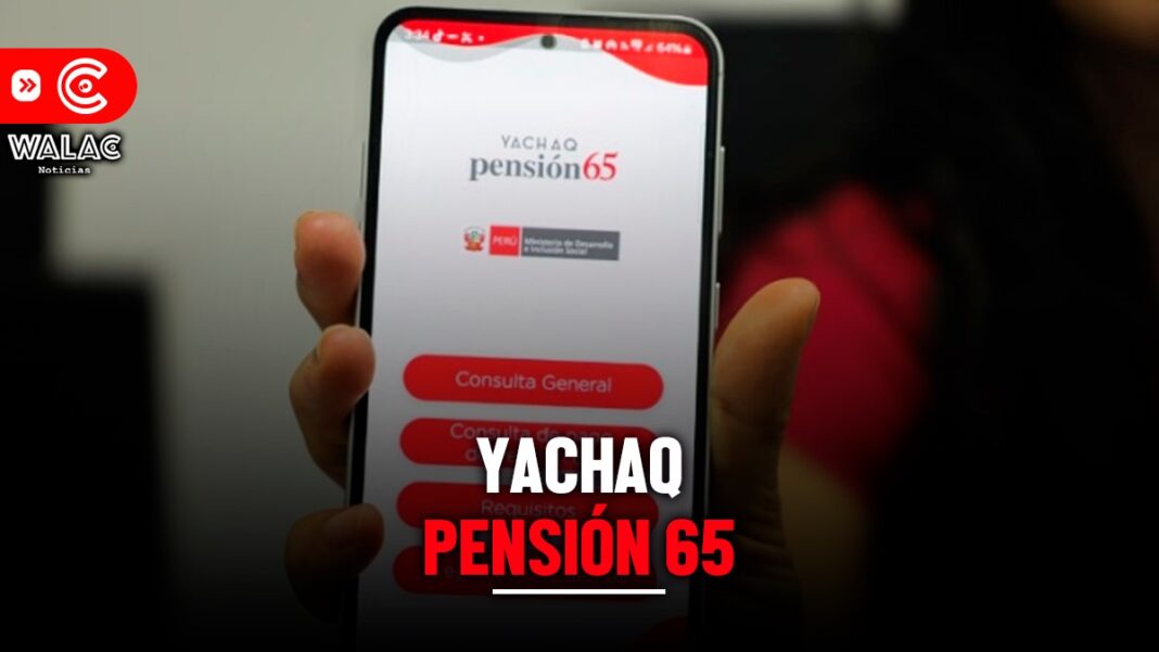 Aplicativo Yachaq permite saber si perteneces a Pensión 65