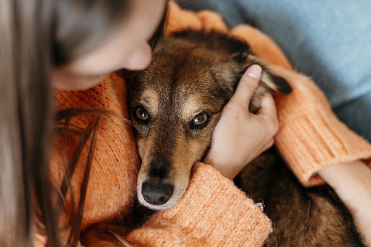 medicamentos que podrían dañar a tu perro