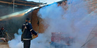 Chulucanas Fumigación alcanzó al 96% de hogares durante los primeros dos días