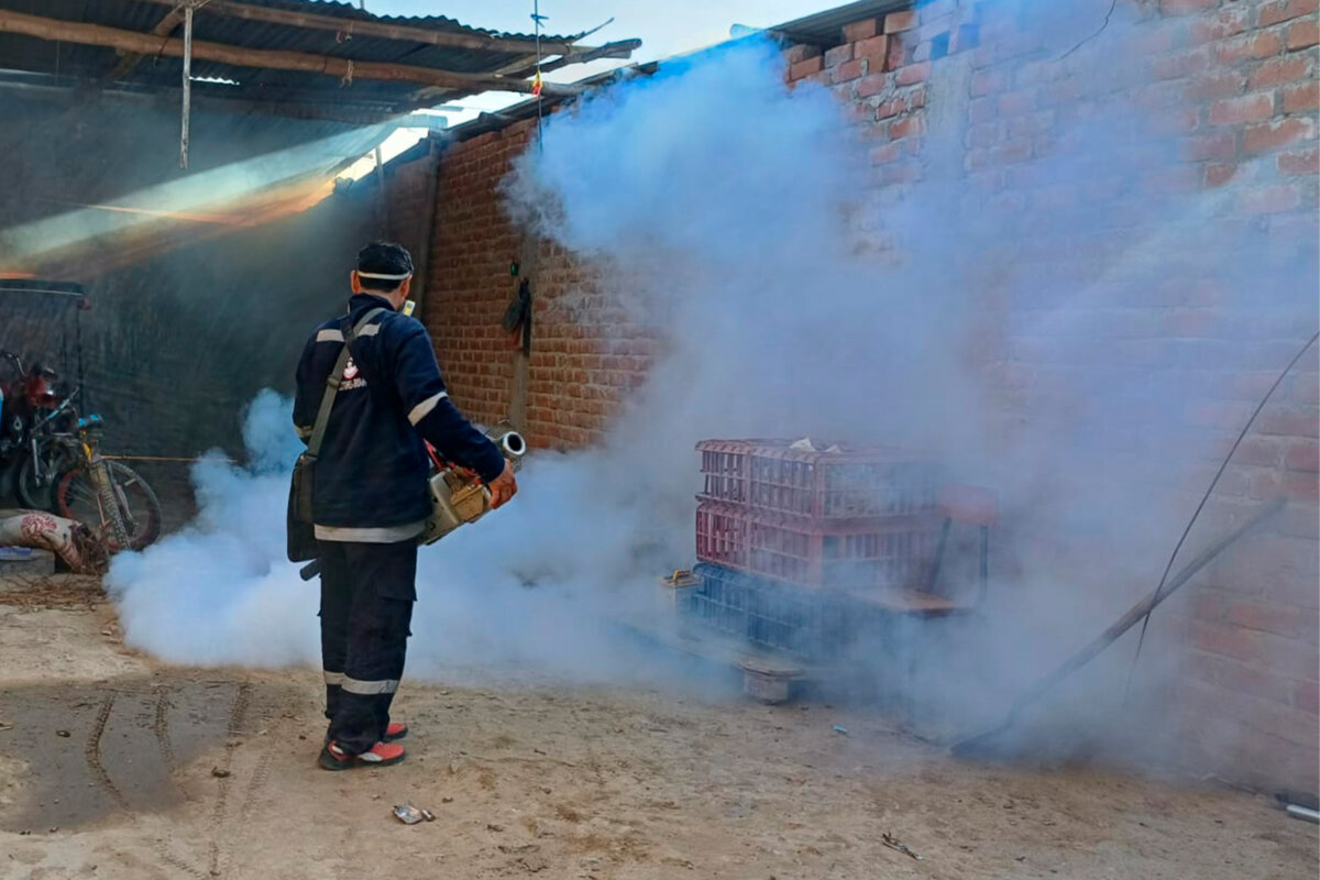 Chulucanas Fumigación alcanzó al 96% de hogares durante los primeros dos días