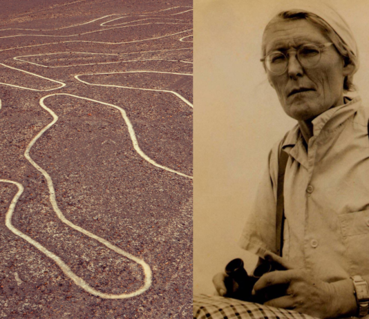 Quién fue Maria Reiche, la geógrafa alemana que estudió las Líneas de Nazca