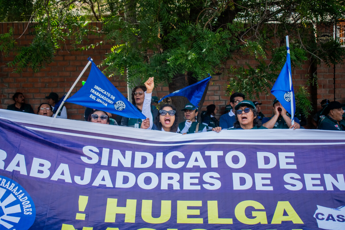 Piura: Trabajadores Del Senasa Acatan Huelga Indefinida Para Exigir ...