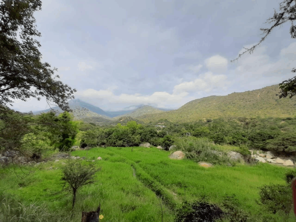 Lugares turísticos de Chulucanas: descubre los principales destinos de este distrito de Morropón