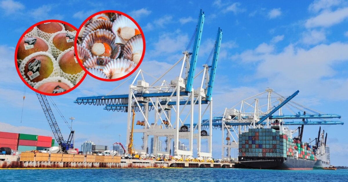 ¿Cómo beneficiará el Puerto de Chancay a las exportaciones piuranas? ¿Cómo beneficiará el Puerto de Chancay a las exportaciones piuranas?