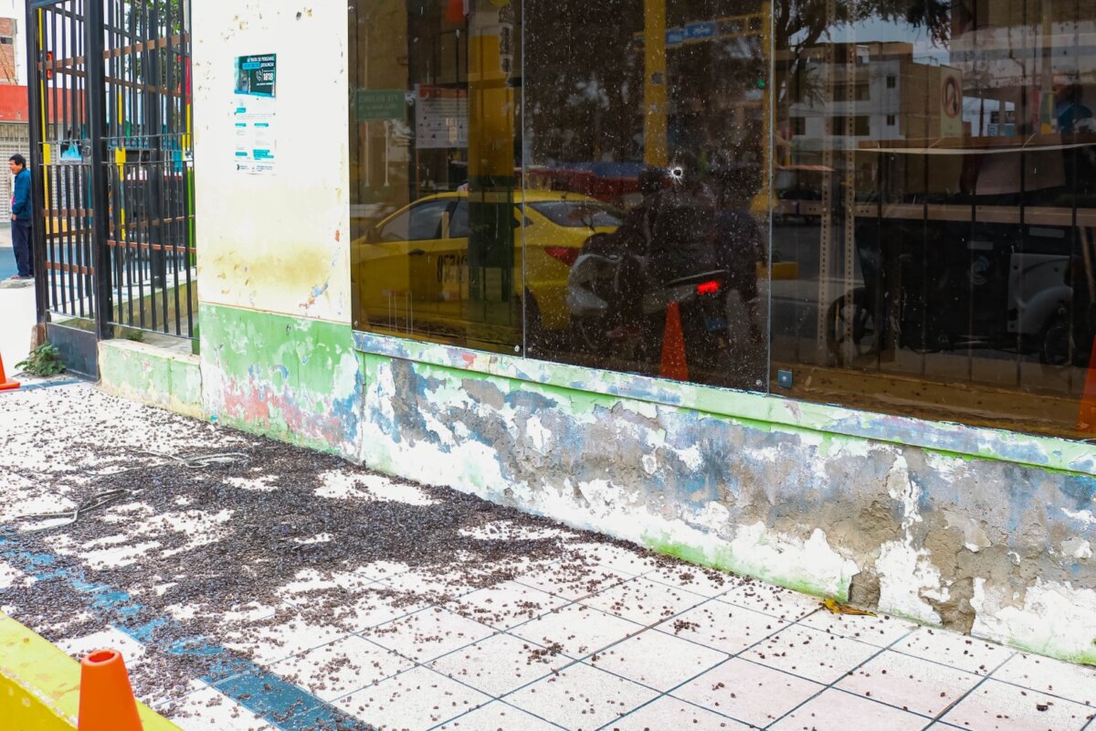 Castilla: Delincuentes disparan contra fachada de la biblioteca Municipal Castilla: Delincuentes disparan contra fachada de la biblioteca Municipal