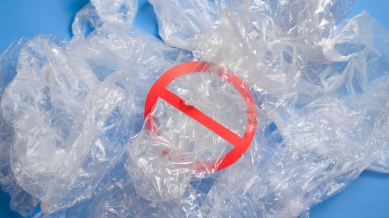 Cinco consejos para reducir el uso de bolsas plásticas