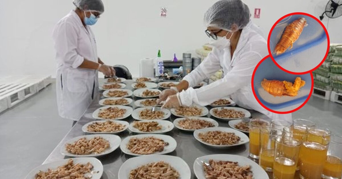 Sullana Qali Warma suspende distribución y consumo de lote de conservas de anchoveta