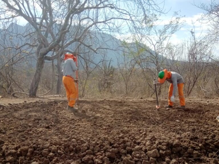 Enosa inicia proyecto de reforestación en Suyo