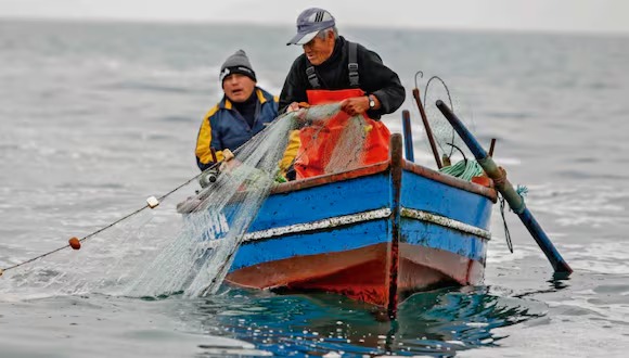 22 100 pescadores artesanales son afectados por la falta de pota en el mar piurano