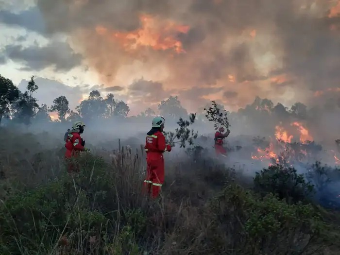 Diferentes regiones solicitan declarar un estado de emergencia para enfrentar los incendios forestales