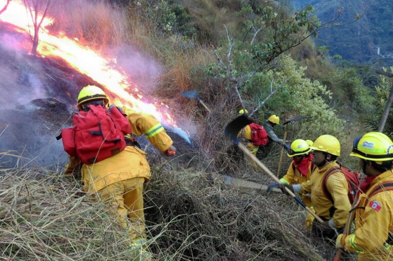 Proponen la creación de cuerpo de bomberos forestales ante aumento de incendios en zonas rurales