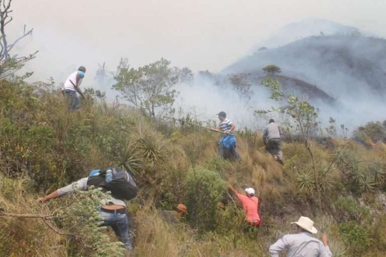 Ayabaca: aeronave especializada de la FAP realizó operaciones para combatir incendio forestal