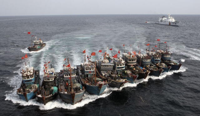 Barcos chinos siguen operando pese a restricciones: pescadores y expertos exponen actividad ilegal