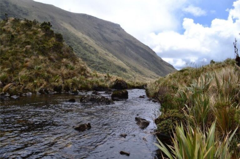 Los páramos de Piura estarán presentes en la COP 16 sobre biodiversidad