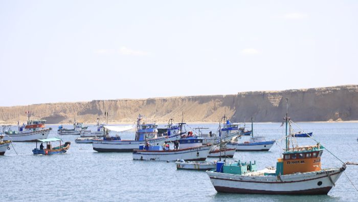 PRODUCE lanza créditos al 1% anual para pescadores artesanales de pota y perico en Piura