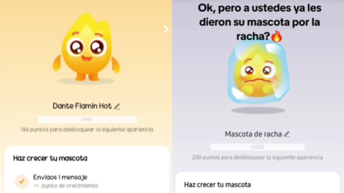 ¿Cómo activar la mascota de racha en TikTok? | Walac Noticias