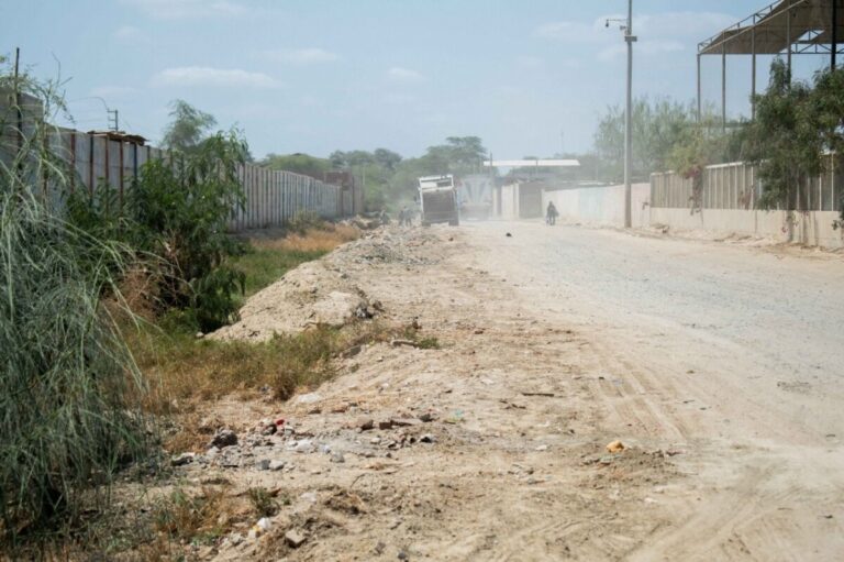 Futura Schools promueve la reforestación ambiental en su comunidad educativa para contrarrestar la contaminación que provoca una vía cercana