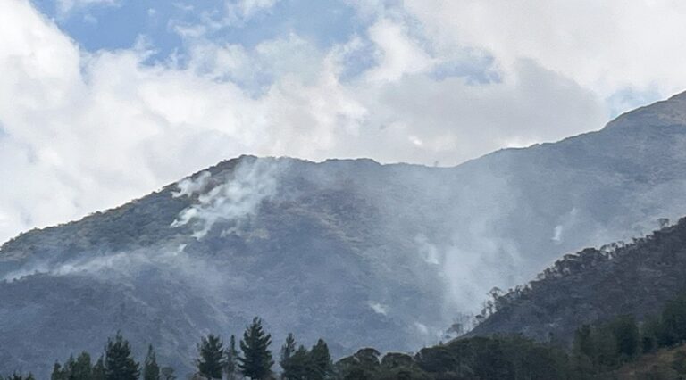 Huancabamba 25 incendios forestales arrasan con 130 hectáreas de bosques y cultivos en Sóndor