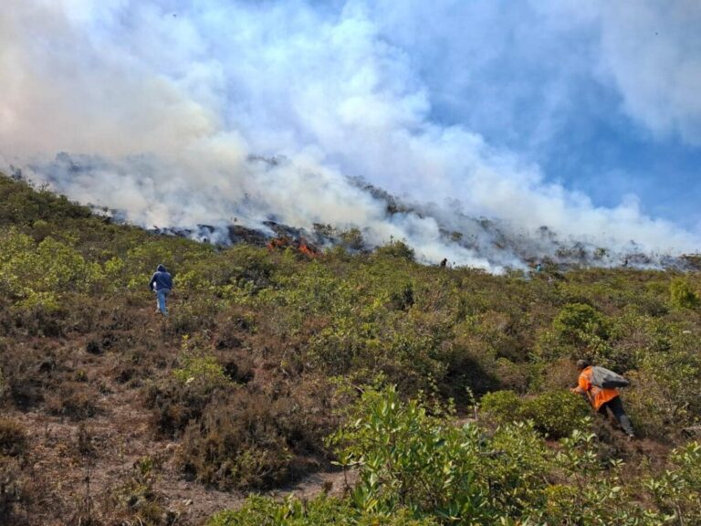 Morropón: incendio forestal en el distrito de Yamango deja a una persona sin vida