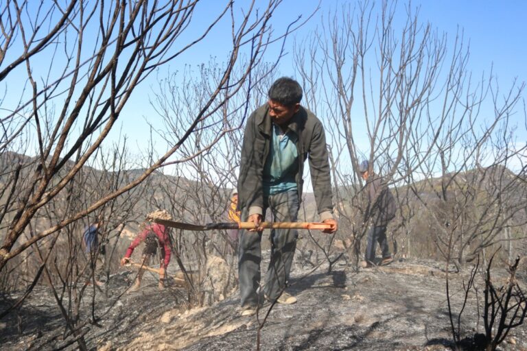 Huancabamba se registran incendios forestales en tres distritos de la provincia