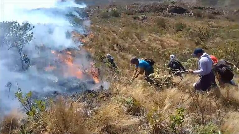 Huarmaca incendio forestal en el cerro Paratón moviliza a pobladores