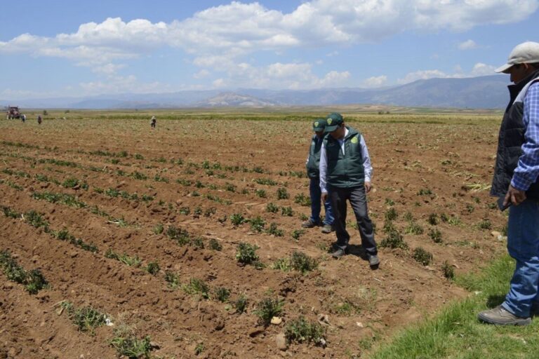 Piura ¿Cómo impacta la crisis hídrica en distintos sectores