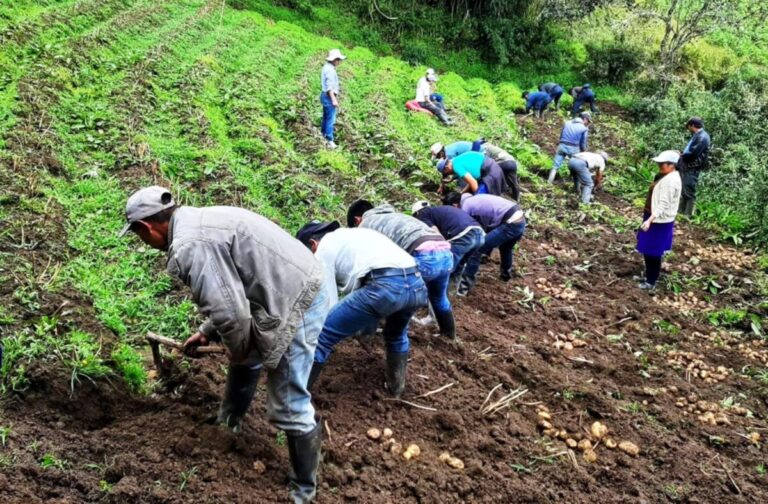 Congreso de la República aprueba rescate financiero para agricultores