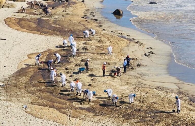 Petroperú descarta afectación a la fauna marina tras derrame de petróleo ocurrido en diciembre en Talara