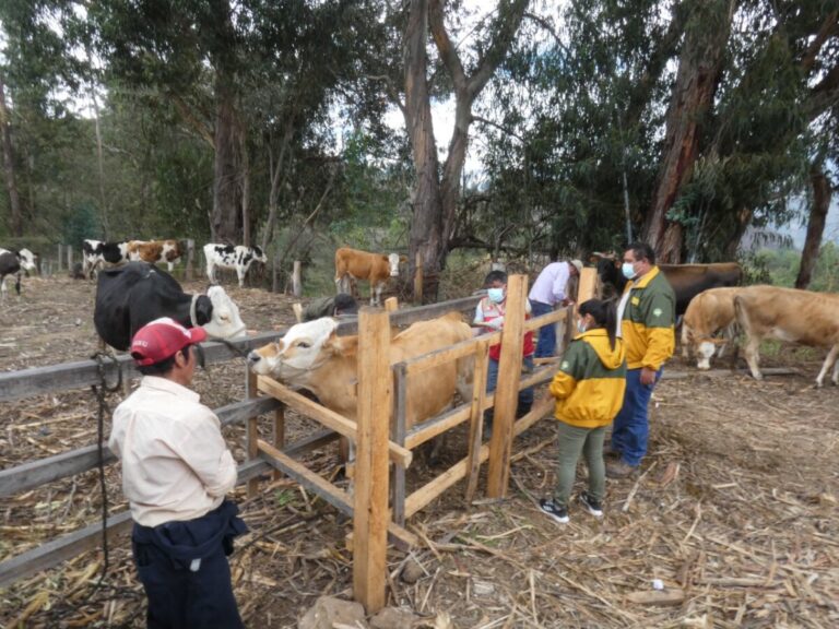 Huancabamba escasez de agua e incendios forestales afectan a los ganaderos de la provincia