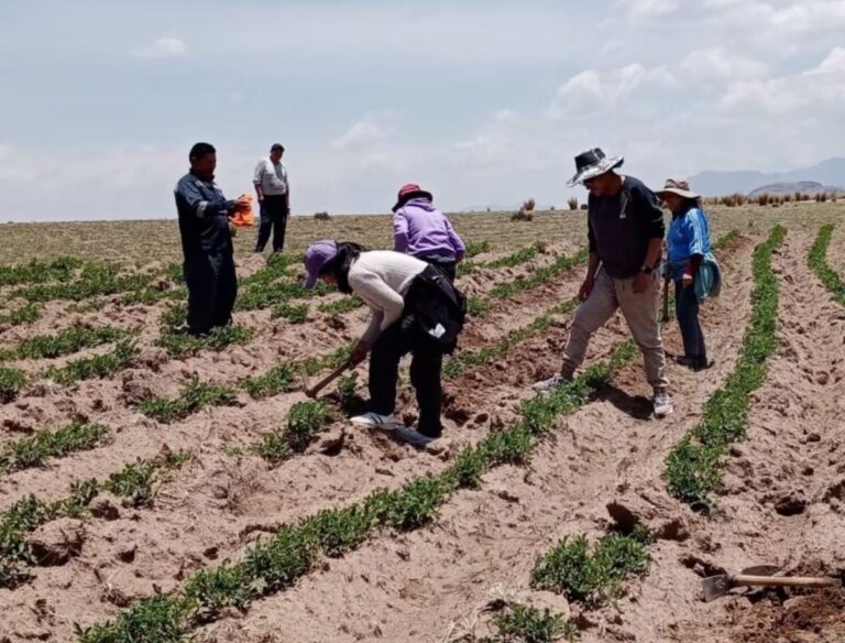 Paita agricultores del Valle del Chira reportan pérdidas millonarias por falta de agua