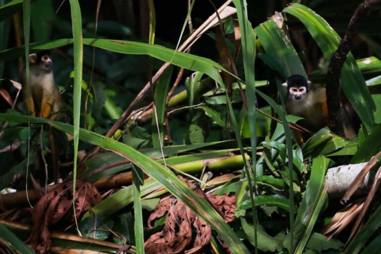 Perú: un paraíso natural reconocido internacionalmente