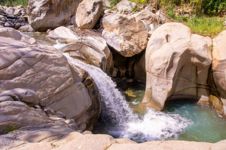 Citan de Quirpón: un oasis natural cerca de Chulucanas