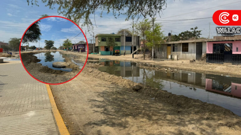 Piura: vecinos de Nueva Esperanza enfrentan colapso de desagües por más de tres semanas