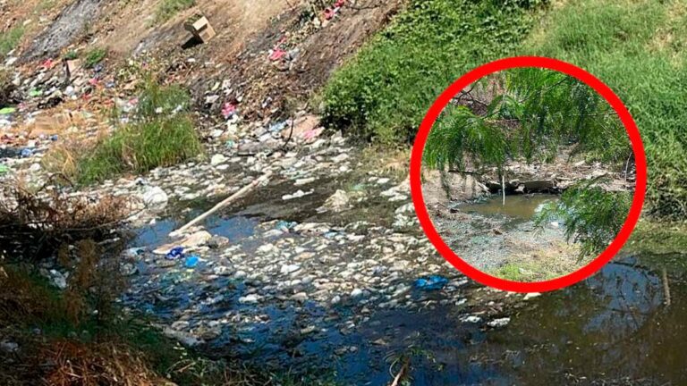 Vecinos del A.H. La Primavera denuncian proliferación de zancudos y malos olores por falta de mantenimiento de un dren pluvial