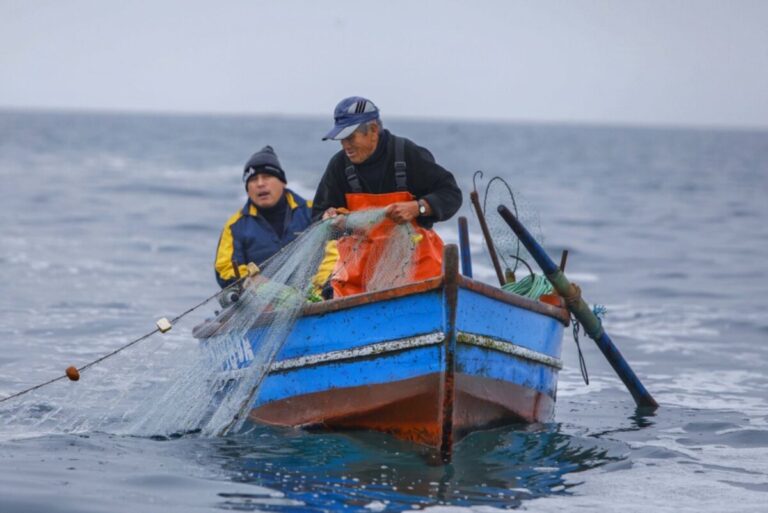 Un 87% de los pescadores artesanales de la región Piura trabajan en la informalidad sin acceso a derechos laborales