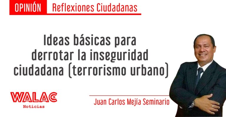 Ideas básicas para derrotar la inseguridad ciudadana (terrorismo urbano)