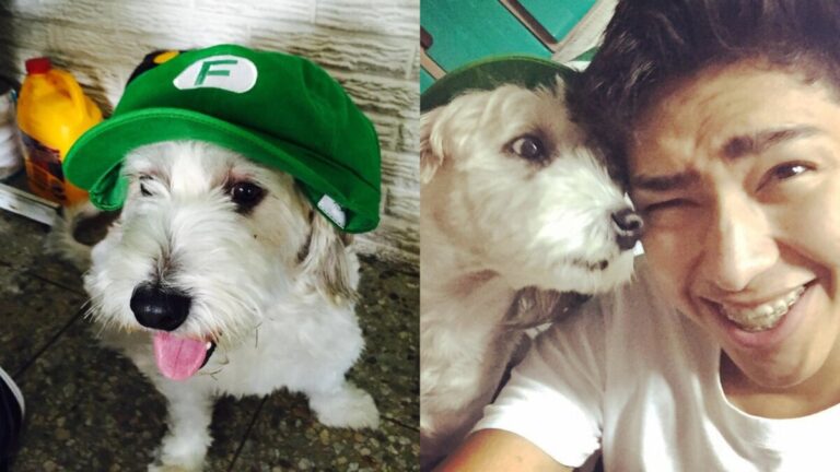 Fernanfloo se despide de su mascota Curly con emotivo mensaje en redes sociales